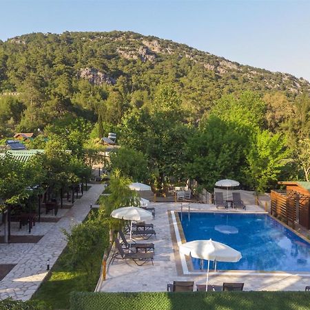 Koala Bungalows Олимпос Экстерьер фото