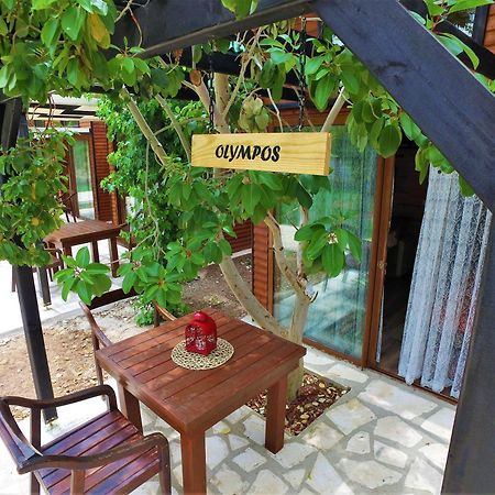 Koala Bungalows Олимпос Экстерьер фото