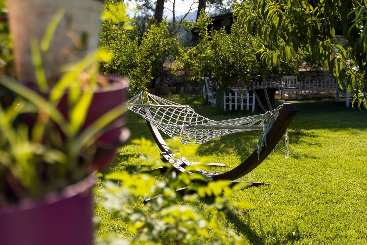 Koala Bungalows Олимпос Экстерьер фото