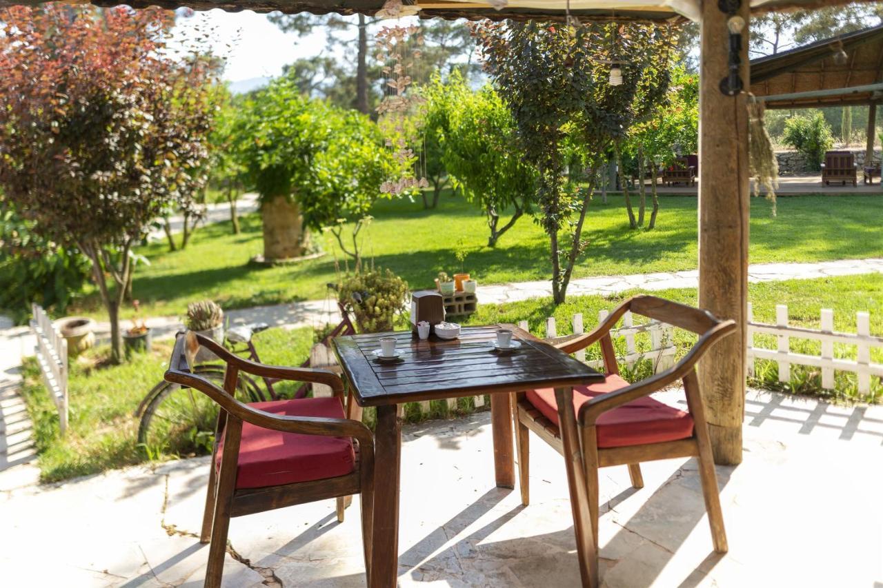 Koala Bungalows Олимпос Экстерьер фото