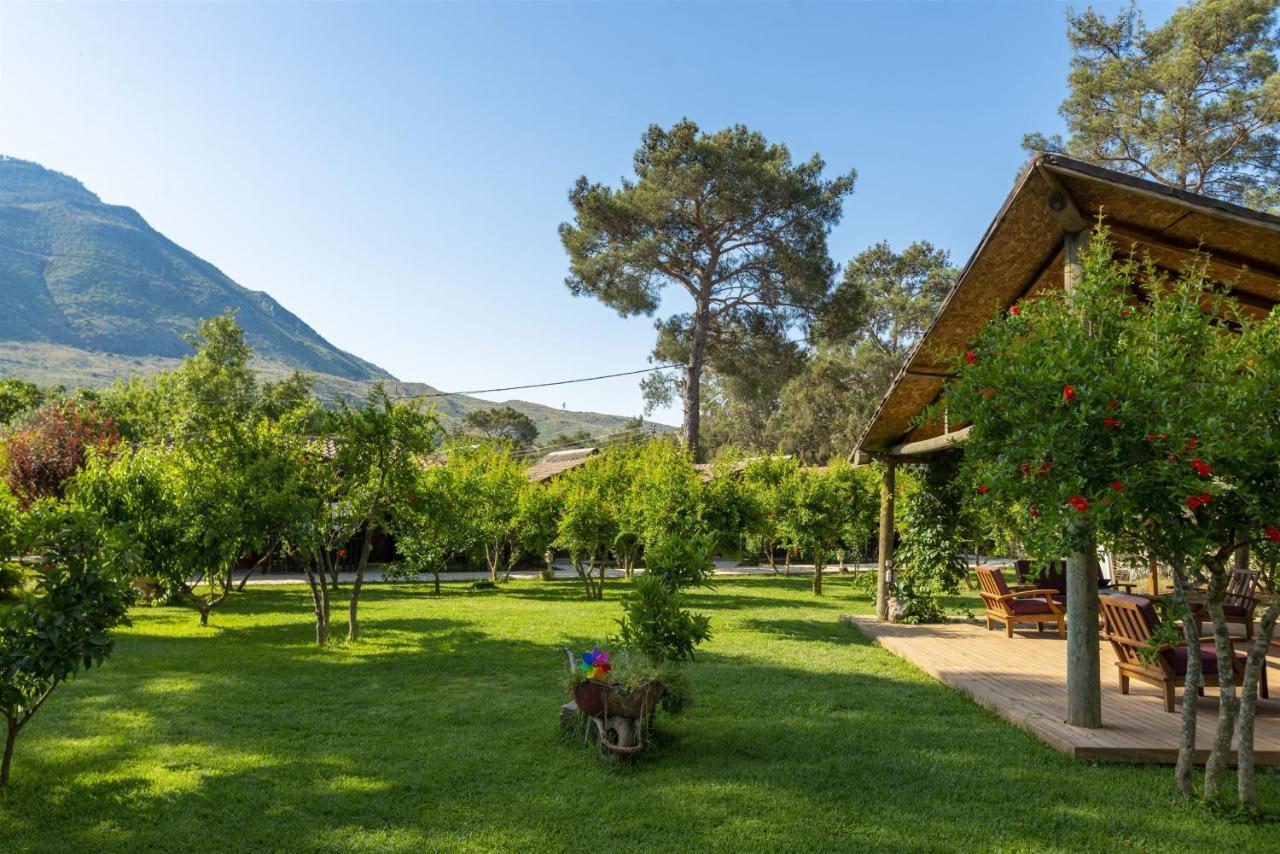 Koala Bungalows Олимпос Экстерьер фото