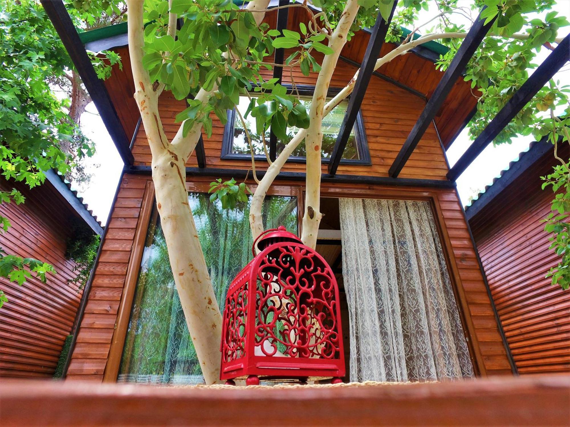 Koala Bungalows Олимпос Экстерьер фото
