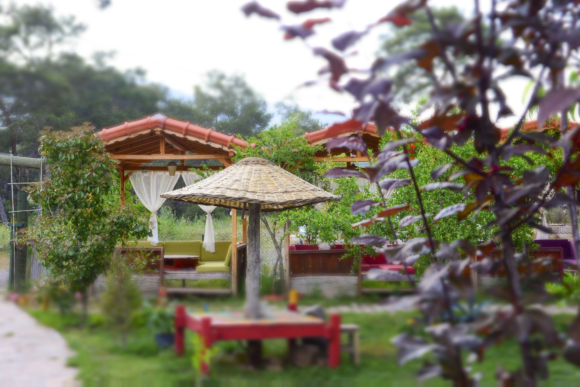 Koala Bungalows Олимпос Экстерьер фото