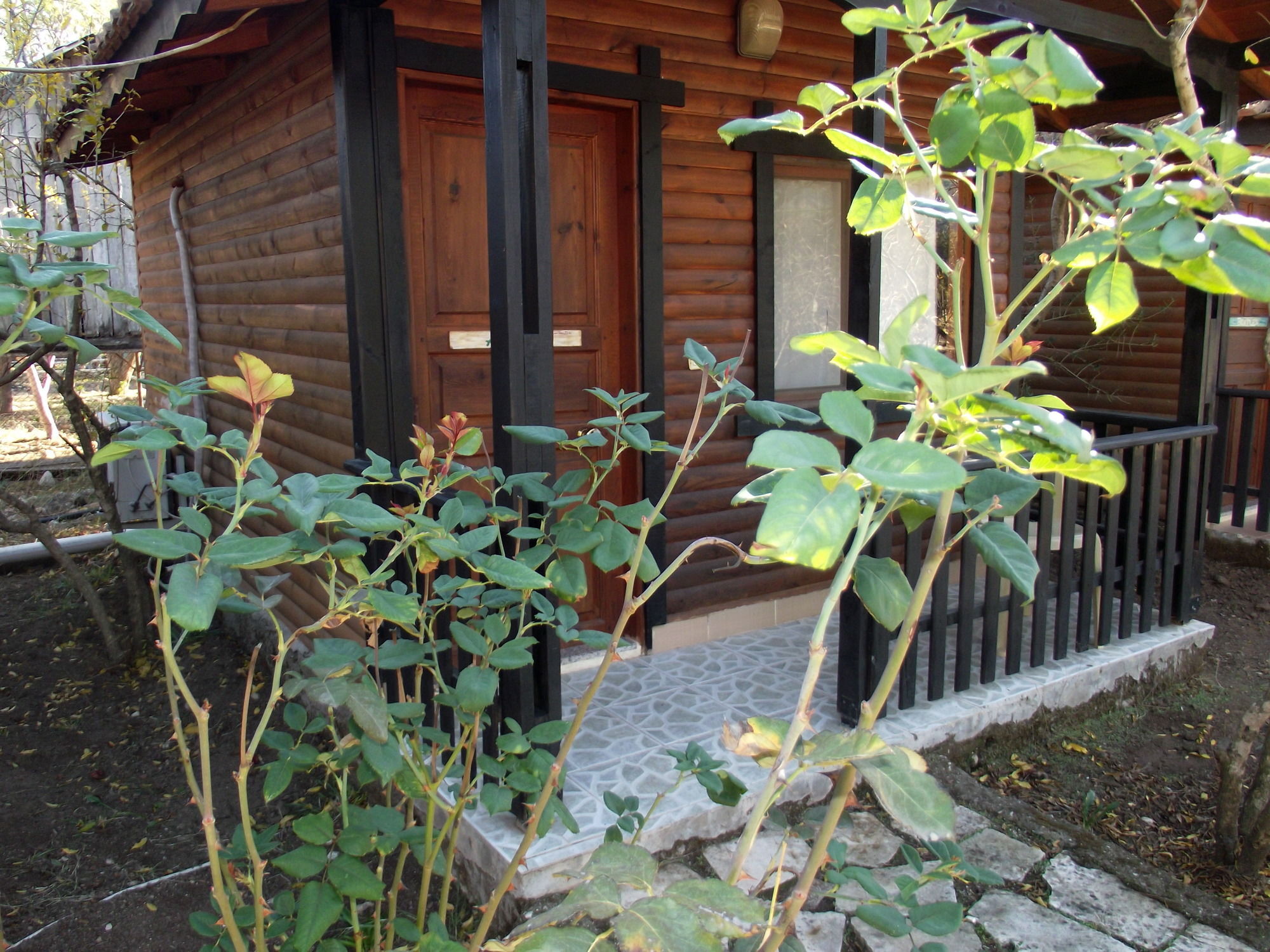 Koala Bungalows Олимпос Экстерьер фото